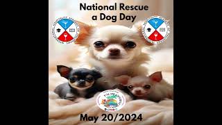 National Rescue a Dog Day May 20th By Vagabond Wineguy [upl. by Gavini291]