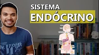 Introdução ao Sistema Endócrino Endócrino 01 [upl. by Ahtiekal]