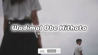 Wadimal Obe Hithata Slowed And Reverb  THILI MUSIC 🎧 [upl. by Enegue]