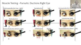 Extraocular Movements Clinical Skills in Ophthalmology [upl. by Willa87]