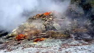 Campi Flegrei SUPERVOLCANO  Solfatara di Pozzuoli amp Fumarole Pisciarelli Italia Naples [upl. by Derfniw]