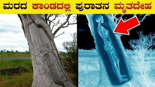 ಮರದಲ್ಲಿ ಮೃತದೇಹ  Top 8 Discoveries Found in Unexpected Places  VismayaVani [upl. by Chao]