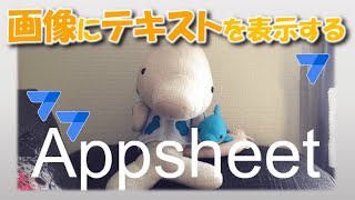 【Appsheet】画像にテキストを印字 ～Text Over Image API〜 [upl. by Devaj541]