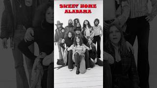 What was the story behind Sweet Home Alabama by Lynyrd Skynyrd [upl. by Yerfej976]