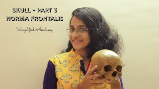 SKULL PART 3  NORMA FRONTALIS  ANATOMY  SIMPLIFIED ✔ [upl. by Marga]