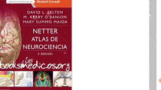 Netter Atlas de Neuciencia pdf [upl. by Good]