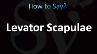 How to Pronounce Levator Scapulae Muscle CORRECTLY [upl. by Atcele]