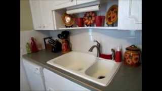 Small Kitchen Organization Countertops [upl. by Armillas]