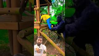 Chimpanzee bachche ko le gya shorts trending youtubeshorts ytshorts sigma [upl. by Ahtnammas574]