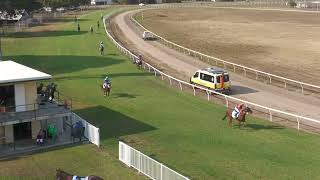 Burdekin 04112023 Race 4 [upl. by Jakie834]