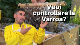 Apicoltura Top Bar  come controllare la presenza di varroa [upl. by Yendirb52]