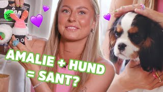 SKAL JEG FÅ MEG NY HUND  AMALIE OLSEN [upl. by Yla]