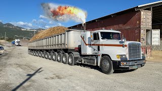 Jamaica PreMix amp Aggregates l Loading Barge  S1•E8 4k 60fps kenworth peterbilt truck [upl. by Reimer]