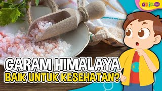 Mengenal Manfaat Garam Himalaya Bagi Kesehatan Tubuh yang Semakin Banyak Digemari [upl. by Nhguahs]