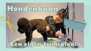 HONDENBAAN 1 Trimsalon Spa le Boeff [upl. by Yelrebmyk497]