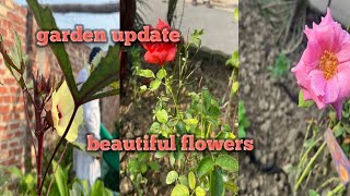 natural agriculture farmingorganic farminggarden update beautiful flowersvegetables harvest [upl. by Fionna]