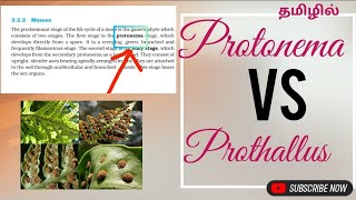 protonema vs prothallus [upl. by Terti]