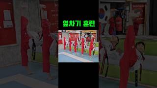 옆차기 자세 만들기 sidekick taekwondo [upl. by Chane]