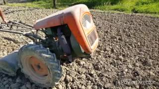 Preparazione terreno con motocoltivatore per semina delle patate [upl. by Winfield]