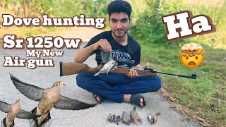 Dove hunting wild birds hunting first hunting huntingwithknives peshawarcity [upl. by Kelson]