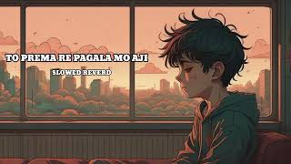 To Prema Re Pagala Mu Aji Slowed Reverb Lofi Song Humane Sagar Odia Lofi Songs [upl. by Id]