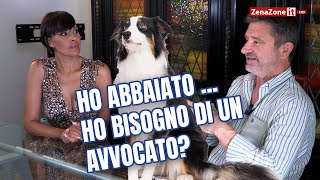 Il cane abbaia e disturba i vicini Domanda allAvvocato [upl. by Arimihc644]