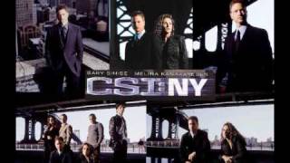 CSI New York Theme Song [upl. by Anilatac]