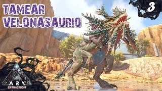 Tamear Velonasaurio solo  ARK EXTINCTION 3  Servidor Oficial PVE [upl. by Aharon390]