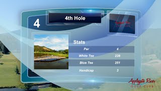 Applegate River Golf Club  4th Hole Video Overview [upl. by Joselyn]