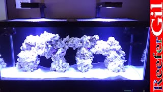 75 Gallon Saltwater Aquarium Cycle [upl. by Hsilgne861]