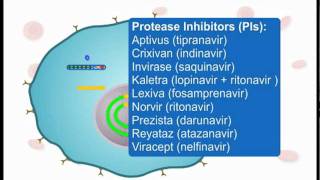 How ARVs Work Part 3 of 3 [upl. by Gordy587]