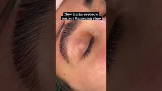 Brow tint brows eyebrows tutorial beautifulbrows eyebrows tutorial beautiful [upl. by Gati]