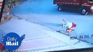 Menacing monkeys attack residents in an Indian village  Daily Mail [upl. by Aisinoid265]