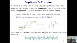 Chapter 23 – Protein Chemistry Part 7 of 10 [upl. by Keraj]