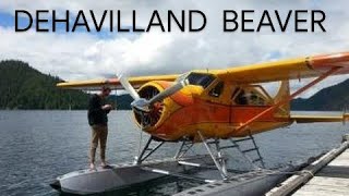 DHC2 DEHAVILLAND BEAVER Seaplane Startup Runup and Takeoff [upl. by Etnahsa428]