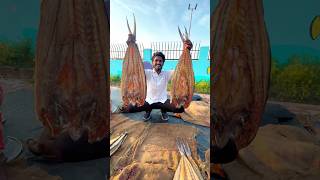 ఎండు చేపలు కాకినాడ fishing kakinada dryfishrecipe youtubeshorts [upl. by Aura]