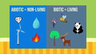 Environmental Science Lesson 9 Community Ecology [upl. by Adnohsar]