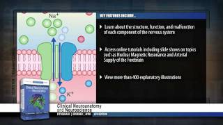 Clinical Neuroanatomy and Neuroscience 6th Edition [upl. by Januarius89]