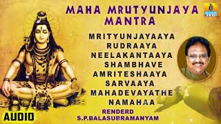 MAHA MRUTYUNJAYA MANTRA  SP Balasubramanyam  LORD SHIVA STUTHI  SANSKRIT SLOKHA Jhankar Music [upl. by Canter]