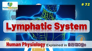 Ep72  Lymphatic System  Malayalam [upl. by Annahs734]