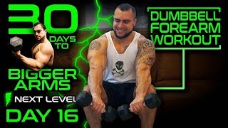 Intense Forearm Dumbbell Workout  30 Days of Dumbbell Workouts At Home for Bigger Arms Day 16 [upl. by Ahsenahs284]