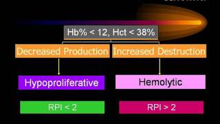 Anaemia [upl. by Oinotnaocram682]