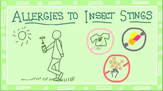 Allergy Video 2 Types of Allergies [upl. by Gabriele]