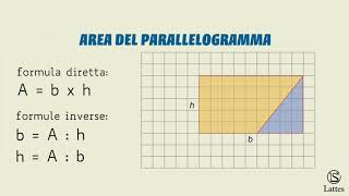 Area dei poligoni [upl. by Loralyn753]