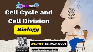 Cell Cycle And Cell Division  NCERT Class 11 BIOLOGY  phases of cell cycle  mitosis  meiosis [upl. by Bartel]