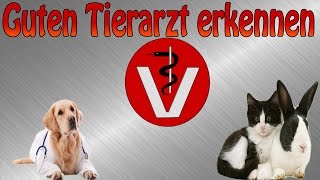 So erkenne ich einen guten Tierarzt Tipps [upl. by Oflodor272]