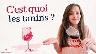 Cest quoi les tanins et comment reconnaître un vin tannique [upl. by Fihsak]