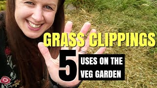 How To Use Grass Clippings In The Vegetable Garden  Build Soil For A Sustainable Organic Garden [upl. by Dieter]