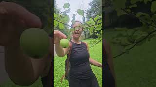 PETIK APEL LIAR PINGGIR JALAN fruit shorts panenbuah [upl. by Shaya]