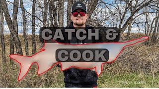 Paddlefish Catch amp Cook 2024 [upl. by Erodaeht591]